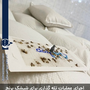 تصویر گالری