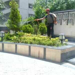 تصویر گالری