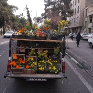 تصویر گالری