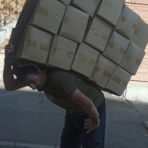 تصویر گالری