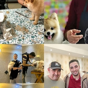 تصویر گالری