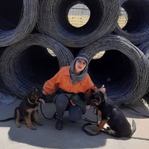 تصویر گالری