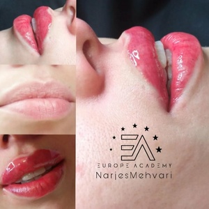 تصویر گالری