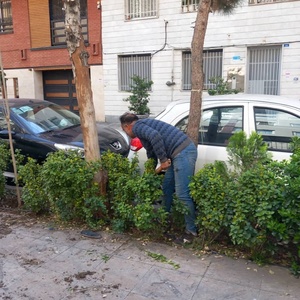 تصویر گالری