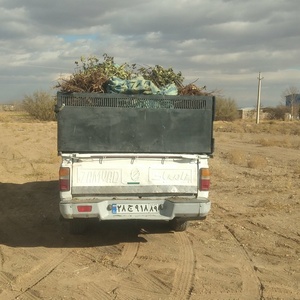 تصویر گالری