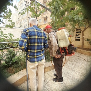 تصویر گالری