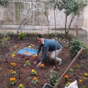 تصویر گالری