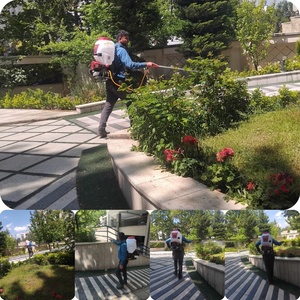 تصویر گالری