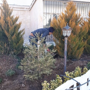 تصویر گالری