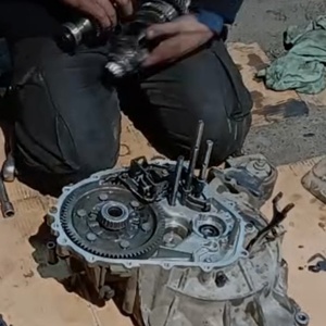 تصویر گالری