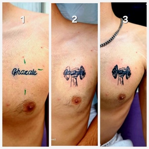 تصویر گالری