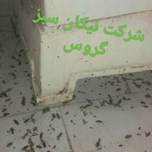 تصویر گالری