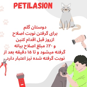 تصویر گالری