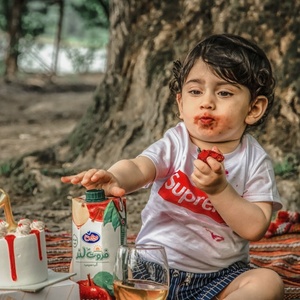 تصویر گالری