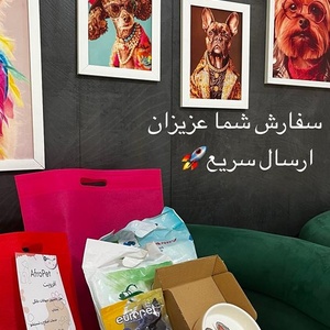 تصویر گالری