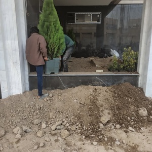 تصویر گالری