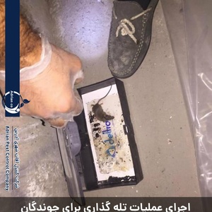 تصویر گالری