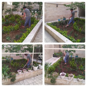 تصویر گالری