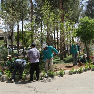 تصویر گالری