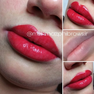 تصویر گالری