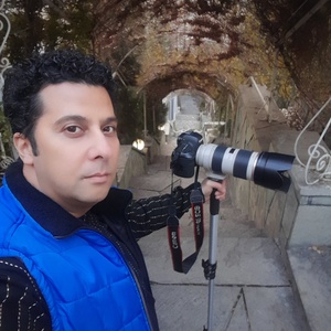 تصویر گالری