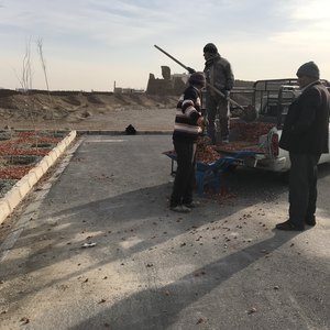 تصویر گالری