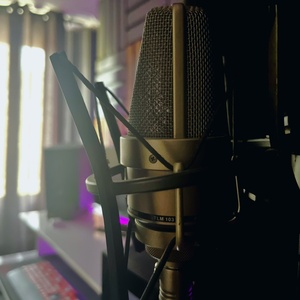 تصویر گالری