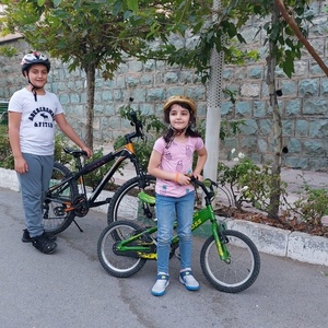 تصویر گالری