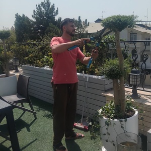 تصویر گالری