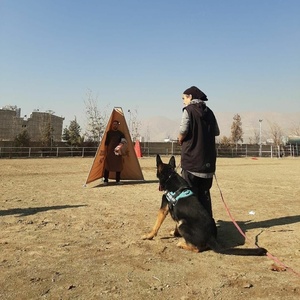 تصویر گالری