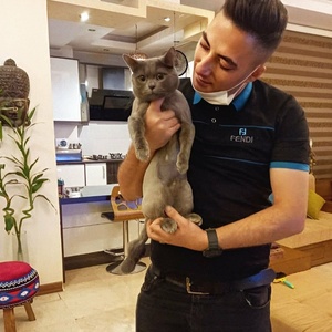 تصویر گالری