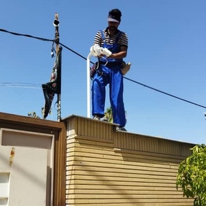 تصویر گالری