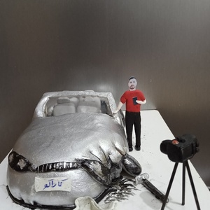 تصویر گالری