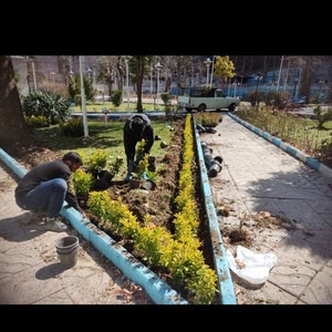 تصویر گالری