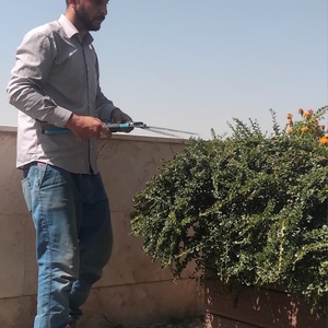 تصویر گالری