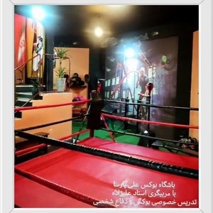 تصویر گالری