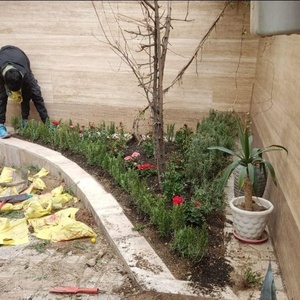 تصویر گالری