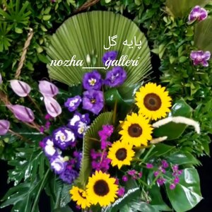 تصویر گالری