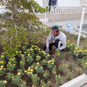 تصویر گالری