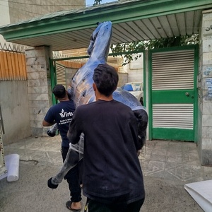 تصویر گالری