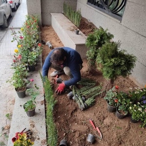 تصویر گالری