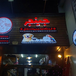 تصویر گالری