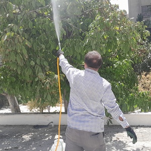 تصویر گالری