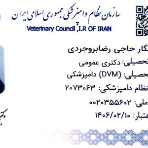 تصویر گالری