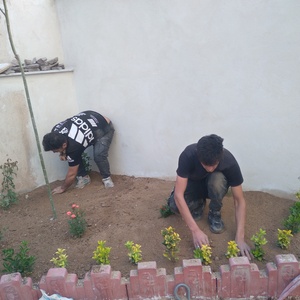 تصویر گالری