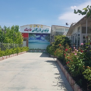 تصویر گالری