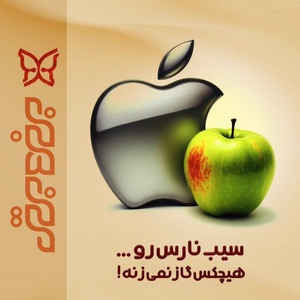 تصویر گالری