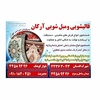 هیمن اریش