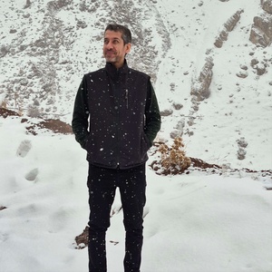 حمید منصوری