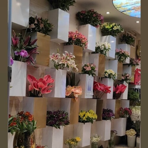 ایمان پاسنگی